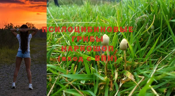 метадон Лагань
